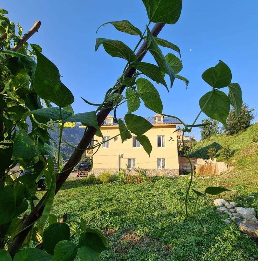 Tetne Qor Guesthouse 메스티아 외부 사진