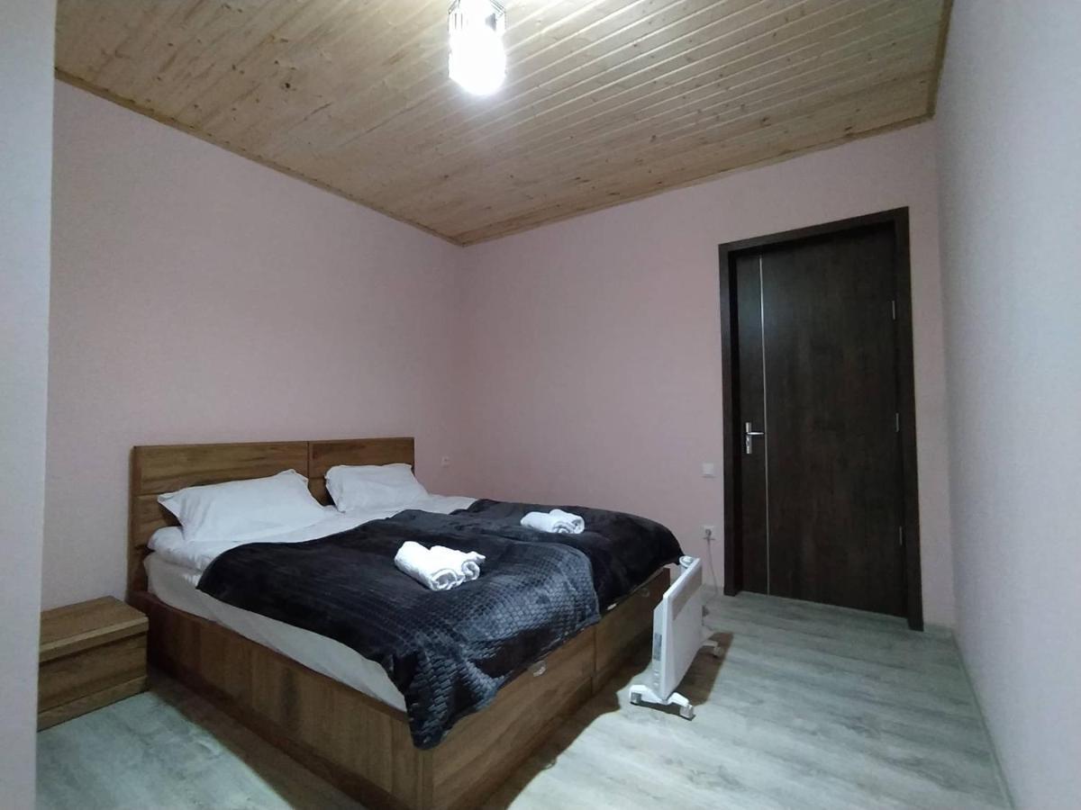 Tetne Qor Guesthouse 메스티아 외부 사진